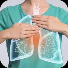 Respiratory System
